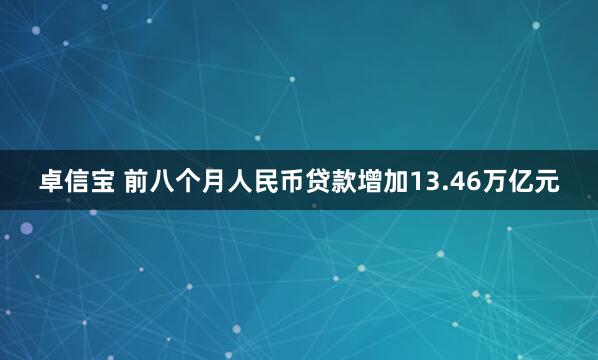 卓信宝 前八个月人民币贷款增加13.46万亿元