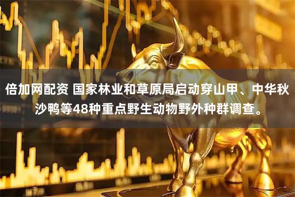 倍加网配资 国家林业和草原局启动穿山甲、中华秋沙鸭等48种重点野生动物野外种群调查。